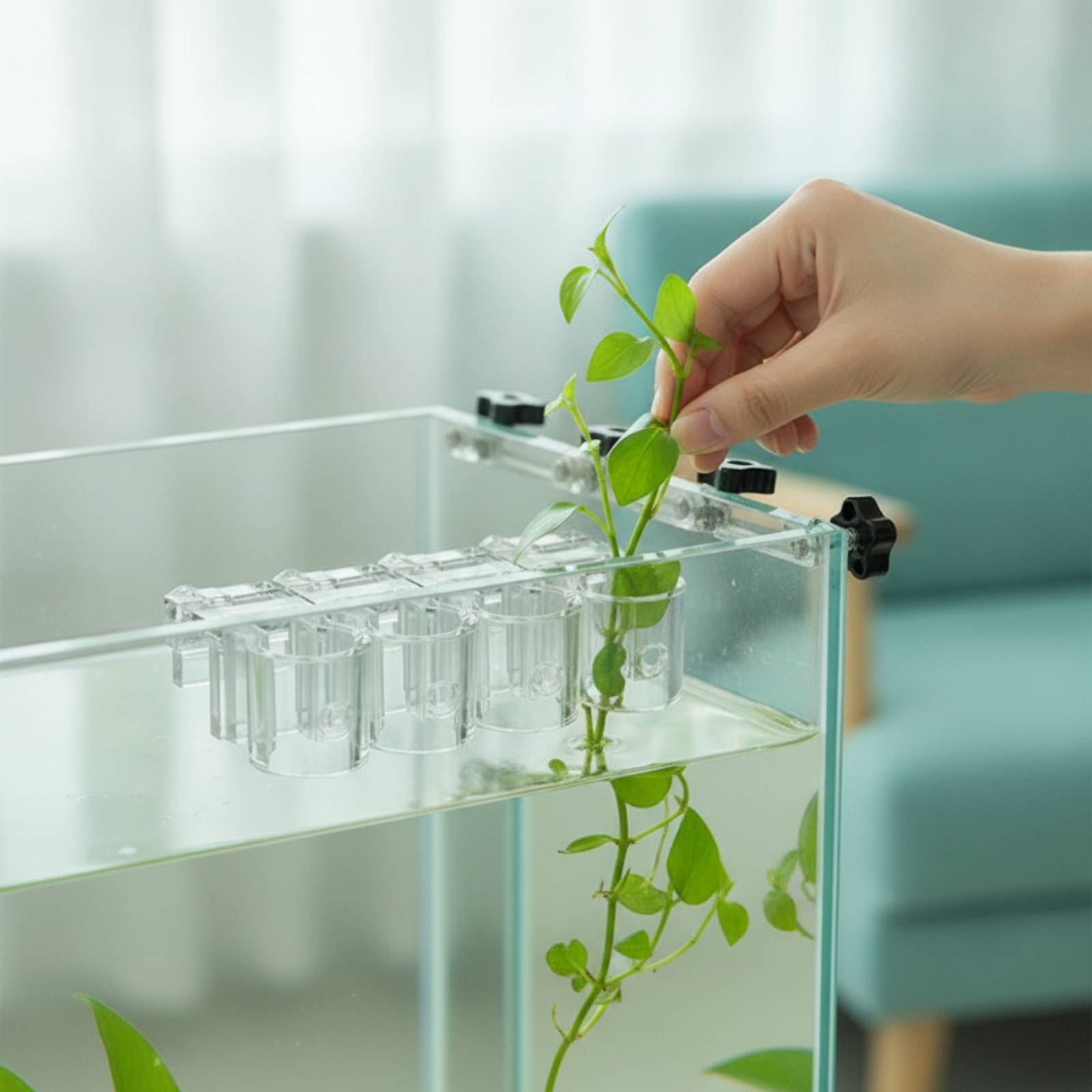Aquarium Planting - 6개 수족관 플랜터 투명 수경 재배