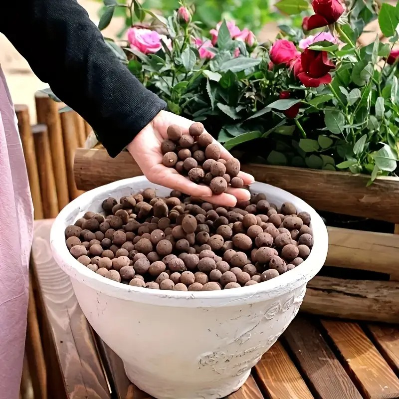Aquarium Planting - 수족관 장식, 수생 식물 재배, 다육