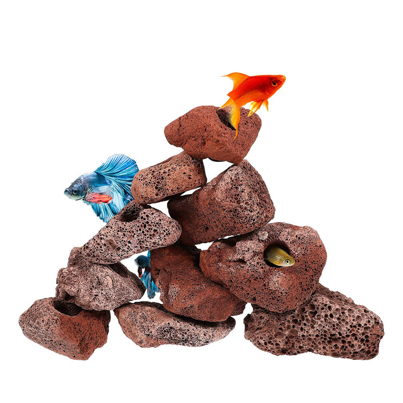 Planted Aquarium With Rocks - 오픈 홀 바위 물고기 새우 대피소