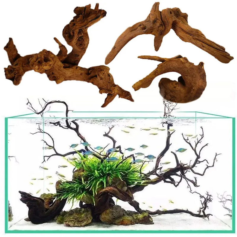 Aquarium Planted Soil - 인기 급상승 중인 새로운 어항 장식,