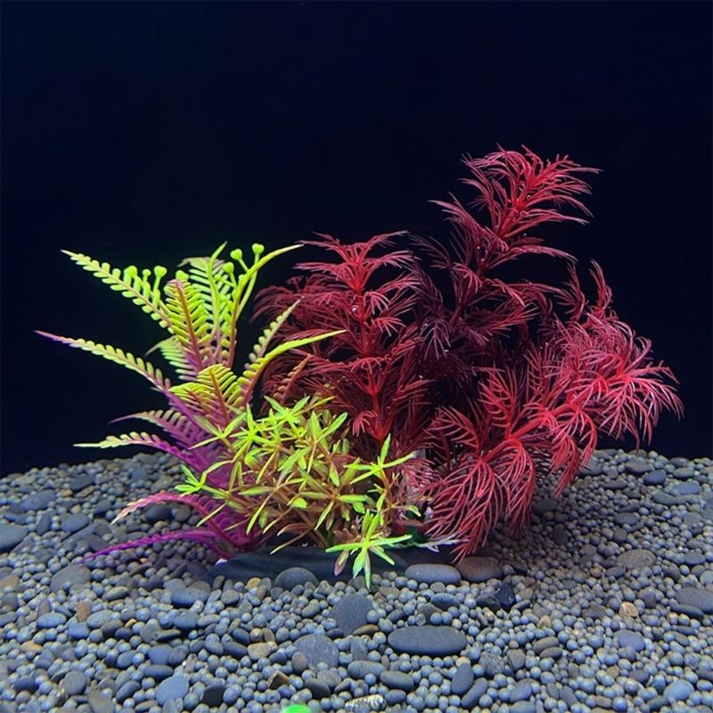 Planted Aquarium Best Fish - 인공 수족관 장식 식물 물고기 장식