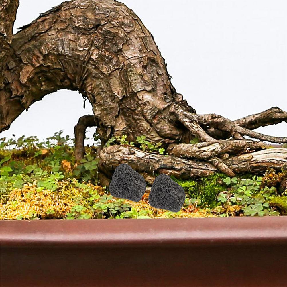 Planted Aquarium With Rocks - 어항용 화산석 천연 소석, 수초 화분용,