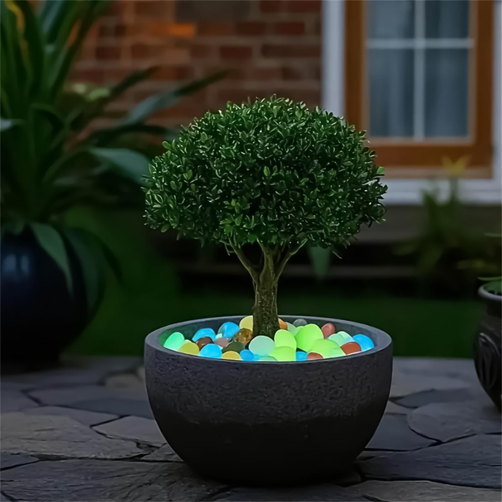 Planted Aquarium With Rocks - 조경용 돌 20개 1.8인치 다채로운 야광