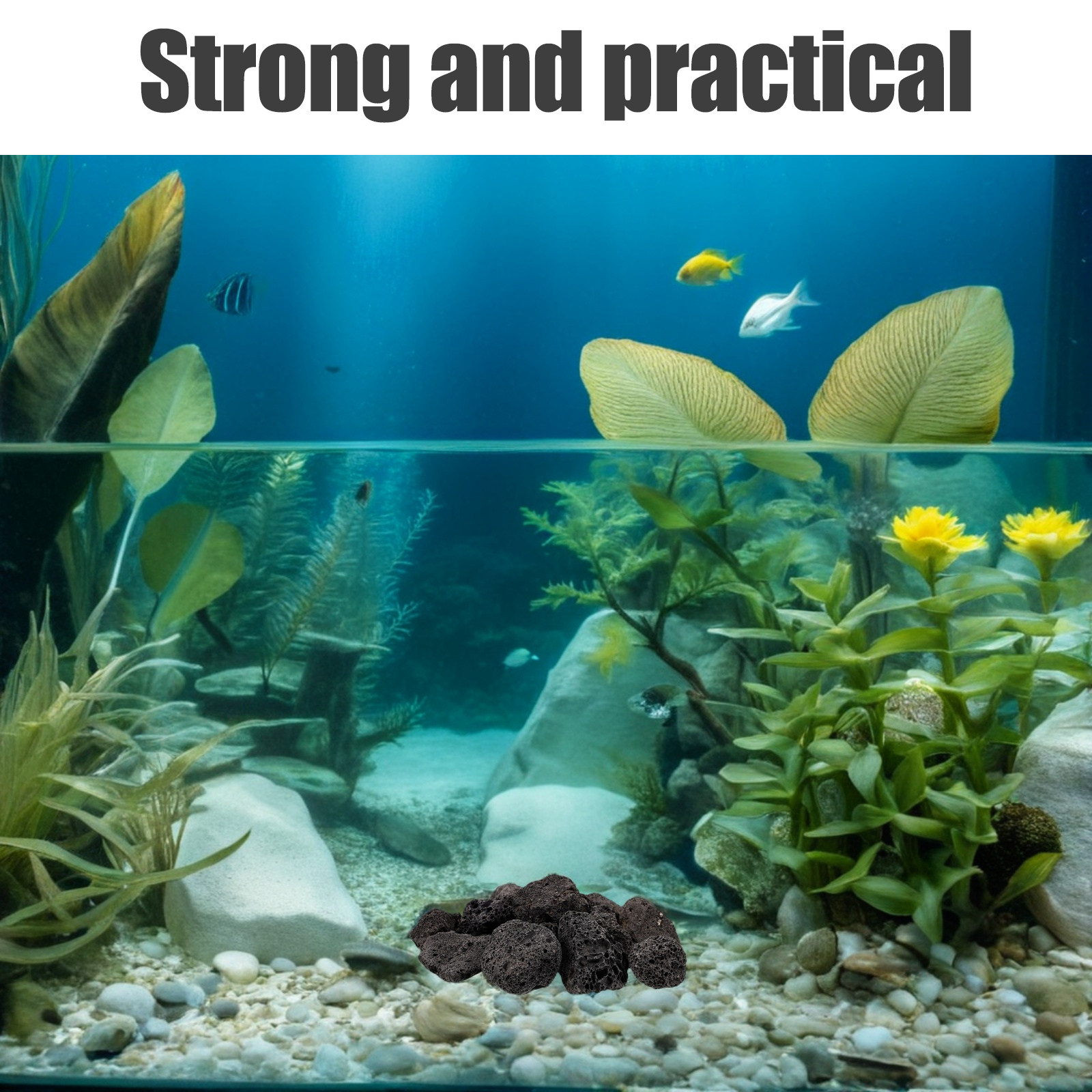 Planted Aquarium With Rocks - 1팩 화산석 장식용 돌 - 수족관,