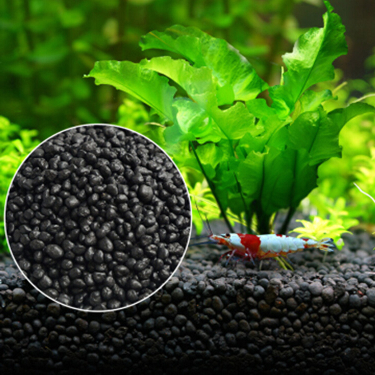 Aquarium Planting Ideas - 수족관 식물 씨앗 토양 어항 기판