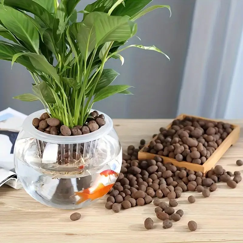 수족관 장식, 수생 식물 재배, 다육 식물 및 분재용  - Aquarium Planting 리뷰 및 가격