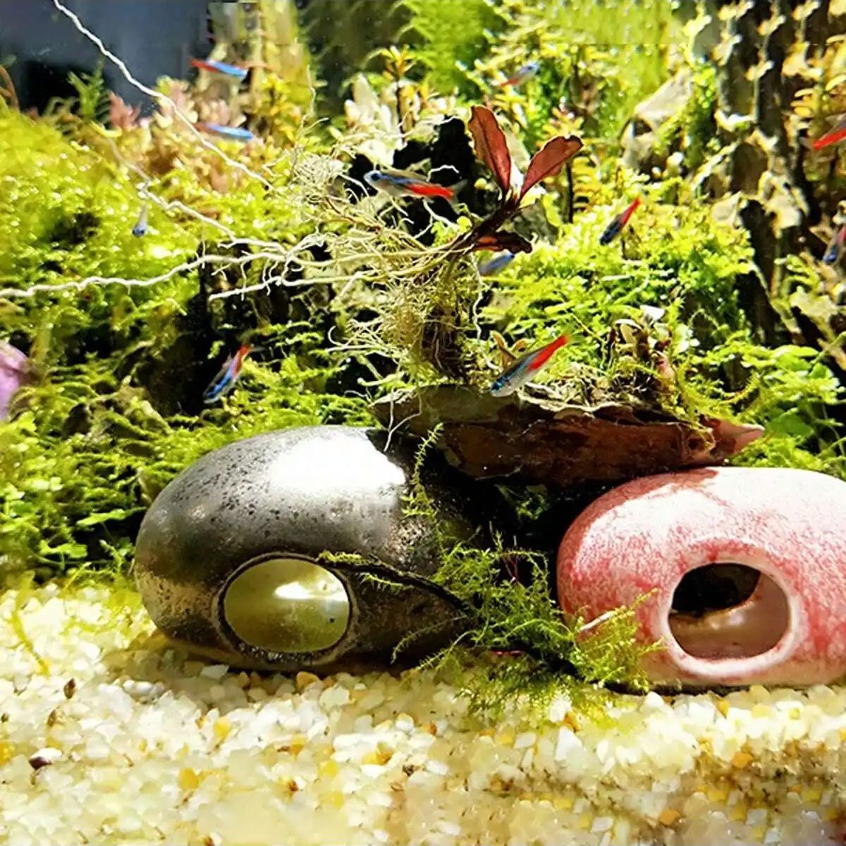 1pc-250g 천연 크리스탈 자갈 돌 마이크로 조경  - Aquarium Planted Soil 리뷰 및 가격