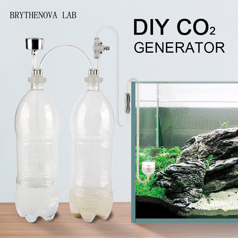 CO2 발생기 수족관 수초 어항 CO2 시스템 키트 발 - Planted Aquarium Co2 Kit 리뷰 및 가격