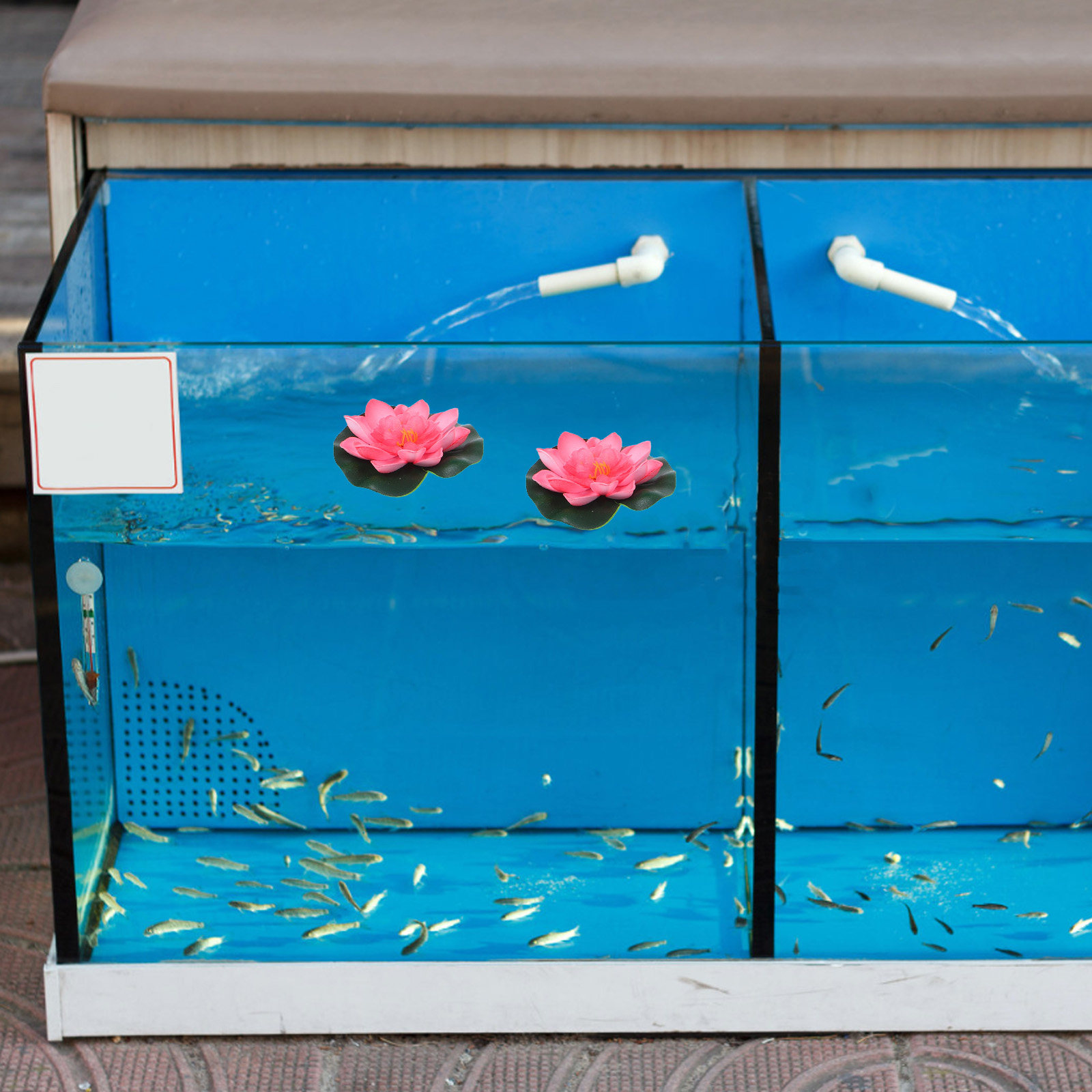 12개 인조 수련꽃 연꽃 조화, 연못, 수영장, 분수, - Aquarium Planting 리뷰 및 가격