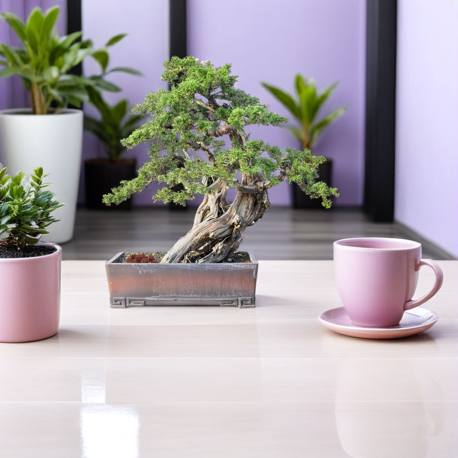 1팩 대형 빨간색 화산석 다공성 조경석 야외 정원 식물 - Aquarium Planted Soil 리뷰 및 가격