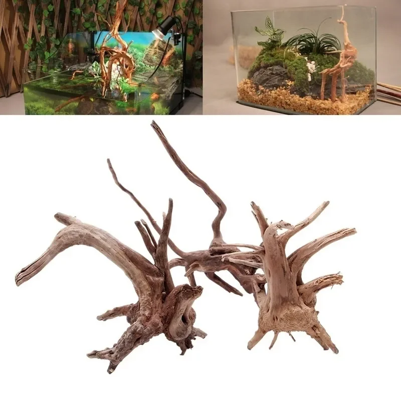 천연 나무 줄기 유목 수족관 어항, 파충류 실린더 뿌리 - Aquarium Planted Soil 리뷰 및 가격