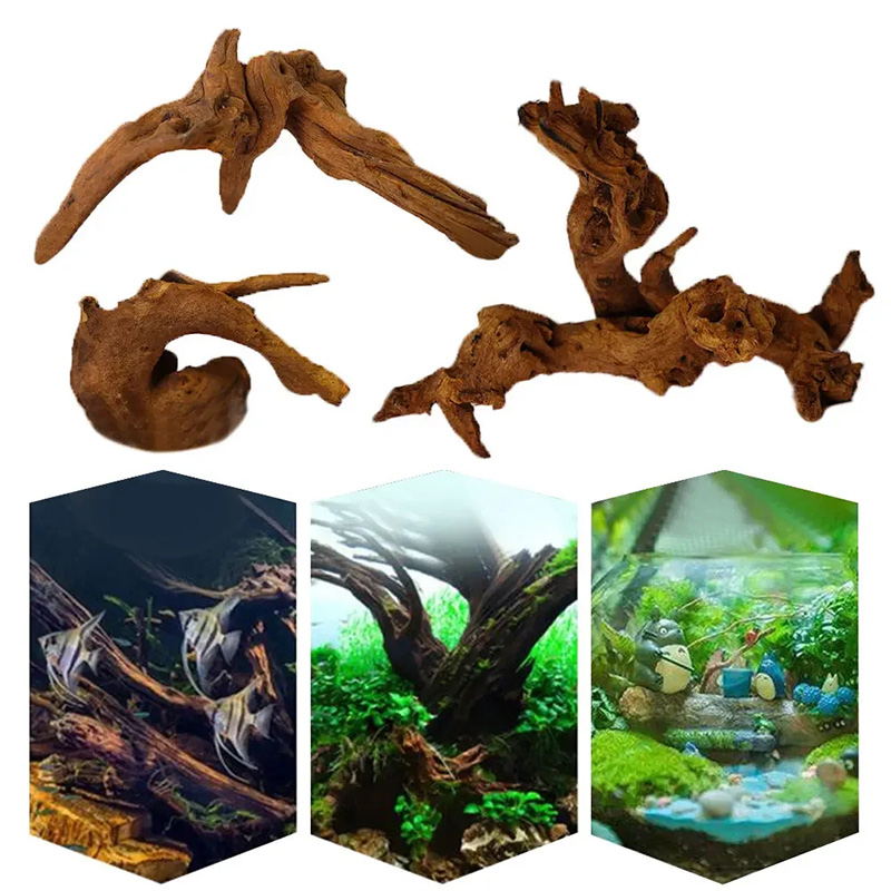 인기 급상승 중인 새로운 어항 장식, 수족관 조경용 천 - Aquarium Planted Soil 리뷰 및 가격