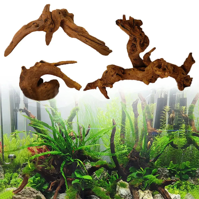 인기 급상승 중인 새로운 어항 장식, 수족관 조경용 천 - Aquarium Planted Soil 리뷰 및 가격