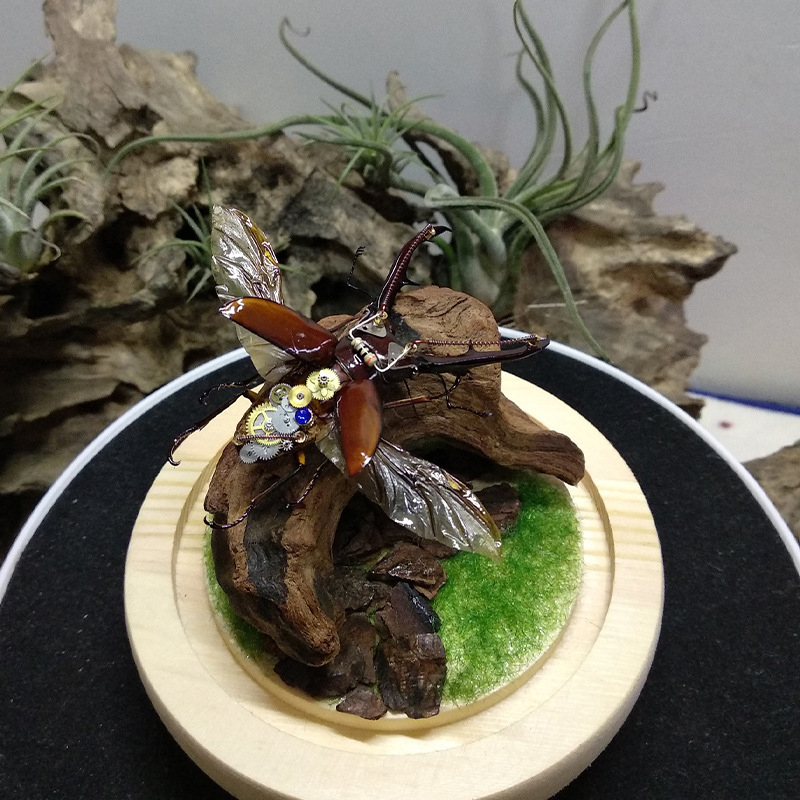 인기 급상승 중인 새로운 어항 장식, 수족관 조경용 천 - Aquarium Planted Soil 리뷰 및 가격