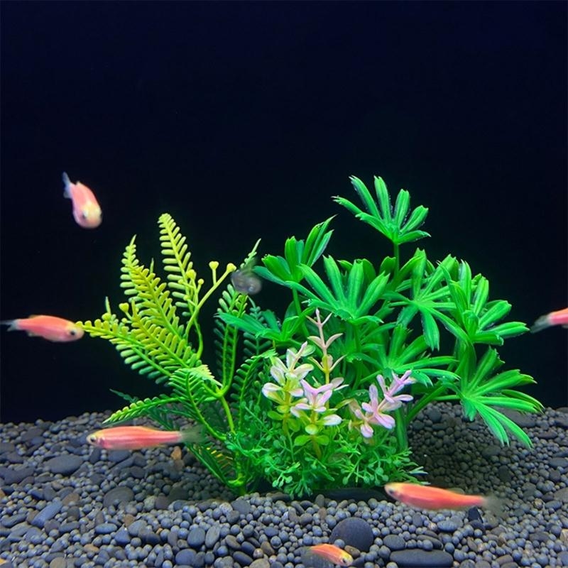 인공 수족관 장식 식물 물고기 장식 수족관 조경 시뮬레 - Planted Aquarium Best Fish 리뷰 및 가격