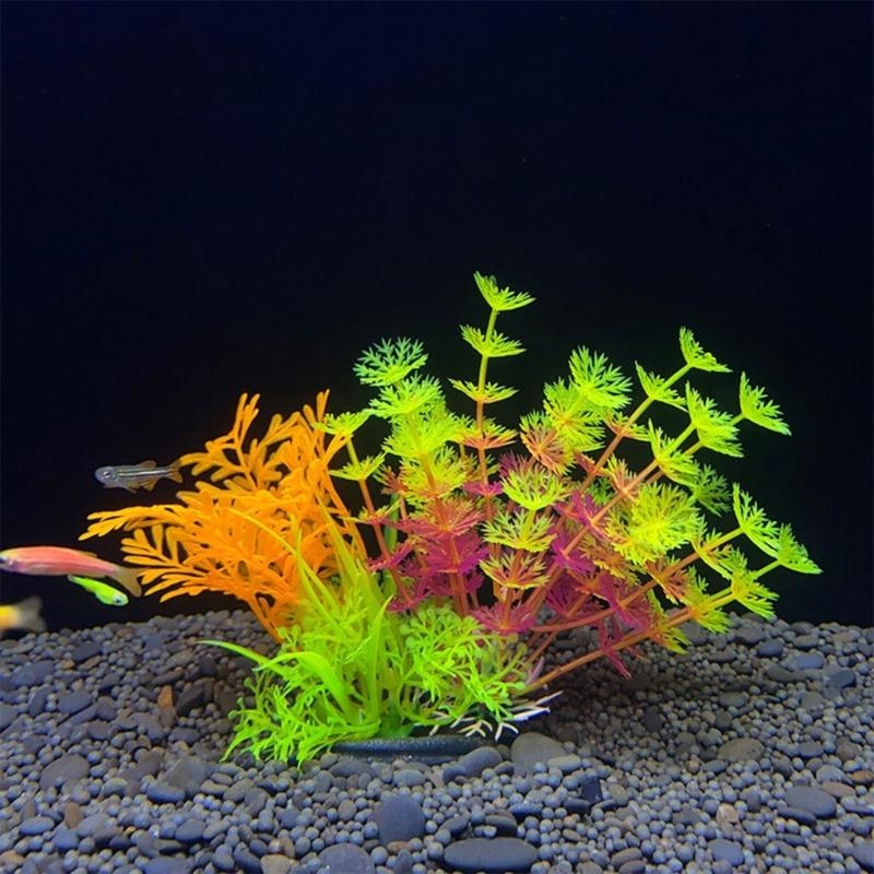인공 수족관 장식 식물 물고기 장식 수족관 조경 시뮬레 - Planted Aquarium Best Fish 리뷰 및 가격