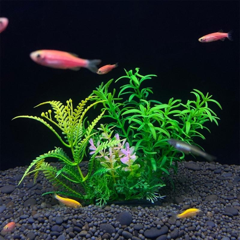 인공 수족관 장식 식물 물고기 장식 수족관 조경 시뮬레 - Planted Aquarium Best Fish 리뷰 및 가격