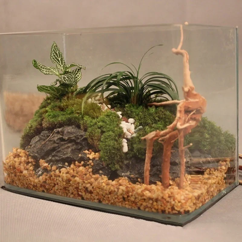 자연 나무 줄기 유목 수족관 어항 파충류 원통형 뿌리  - Aquarium Planted Soil 리뷰 및 가격