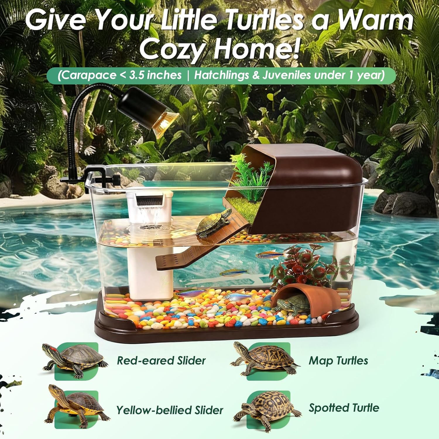 거북이 어항 스타터 키트, PC 거북이 어항(일광욕대, - Planted Aquarium Starter Kit 리뷰 및 가격