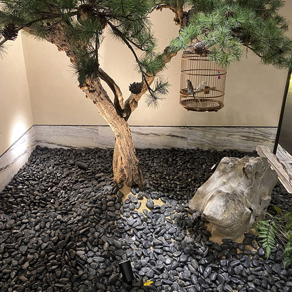 1세트 수족관 자갈 자연 조경석 검정 화분 장식용 자갈 - Aquarium Planting 리뷰 및 가격