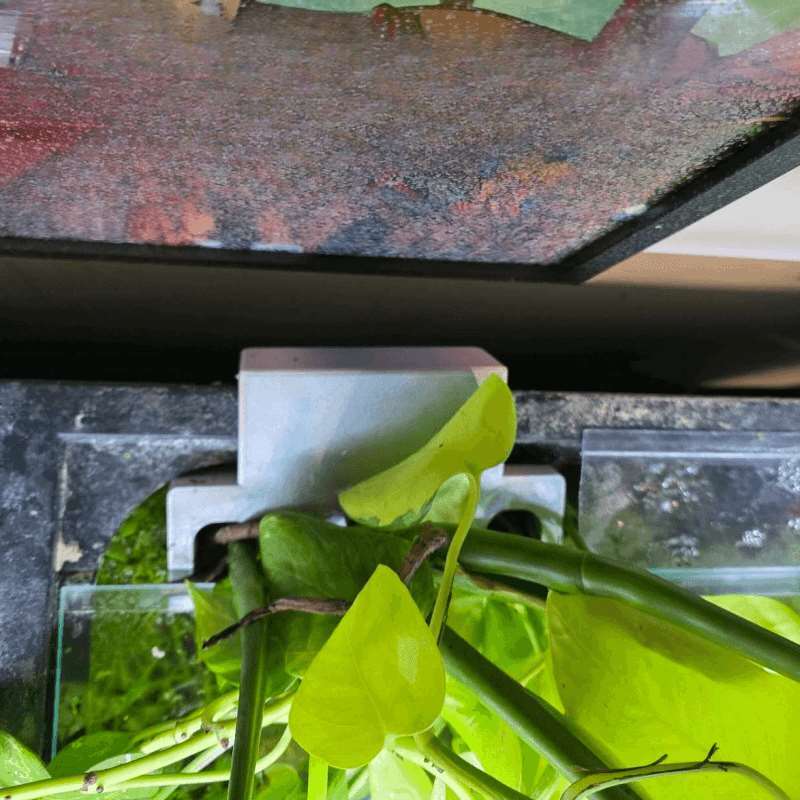 어항 측면 식물 거치대 수경재배 홀더 장식 랙 - Aquarium Planted Soil 리뷰 및 가격