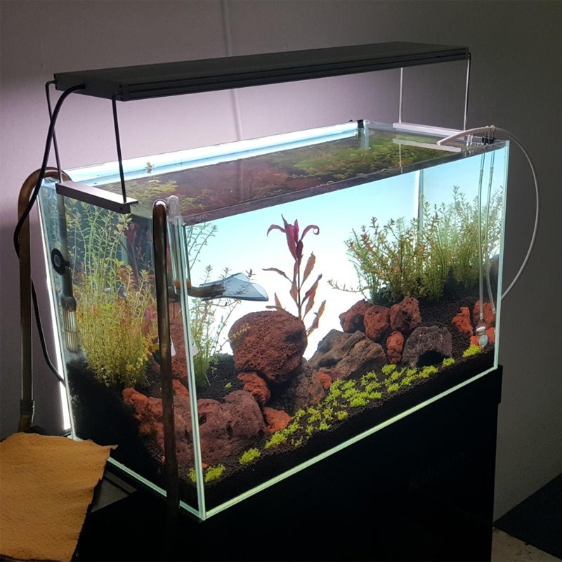 600*450mm 어항용 베스트셀러 LED 수족관 램프 - Planted Aquarium Best Fish 리뷰 및 가격