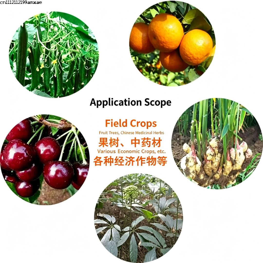 고활성 바실러스 서브틸리스 분말 유기농 프로바이오틱 비 - Aquarium Planted Soil 리뷰 및 가격