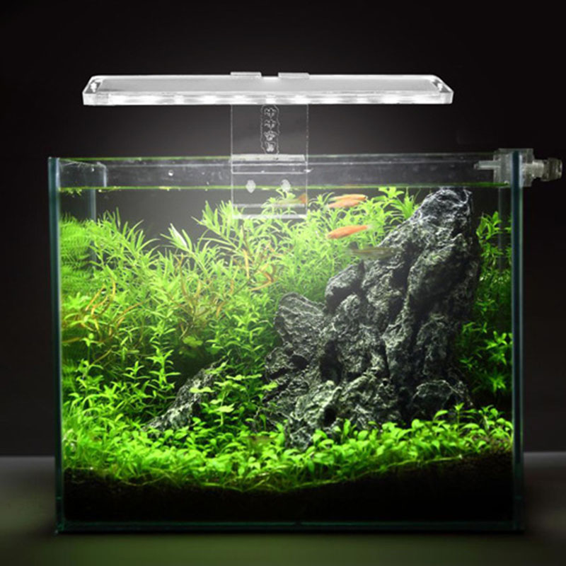 LED 수족관 램프 식물 빛 적합 탱크 3-8MM 두께 - Planted Aquarium Best Fish 리뷰 및 가격