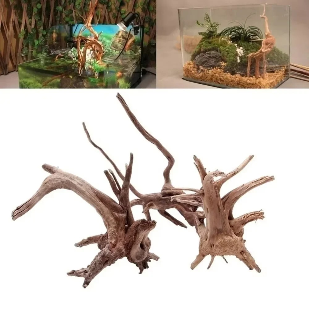 15-20CM 천연 유목 수족관 장식 - 프리미엄 나무 - Aquarium Planting Ideas 리뷰 및 가격