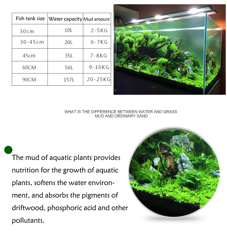 수족관 식물 씨앗 토양 어항 기판 모래 토양 비료 진흙 - Aquarium Planting Ideas 리뷰 및 가격