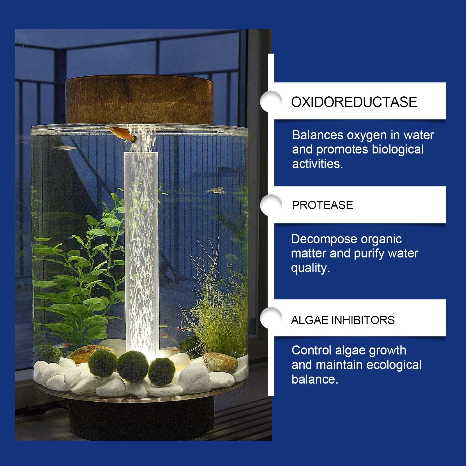 수족관 물 정화제 어항 청소제 조류 제거제 물 처리제  - Aquarium Plant Liquid Fertilizer 리뷰 및 가격