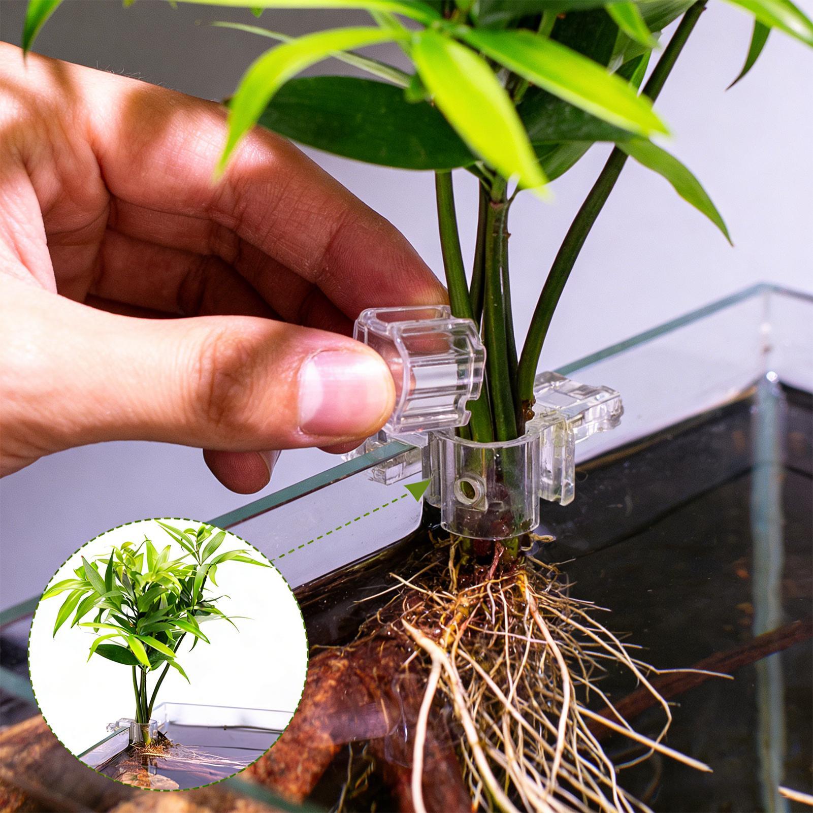 어항 식물 홀더 6개 투명 수경 재배 컵 걸이형 식물  - Aquarium Planted Soil 리뷰 및 가격