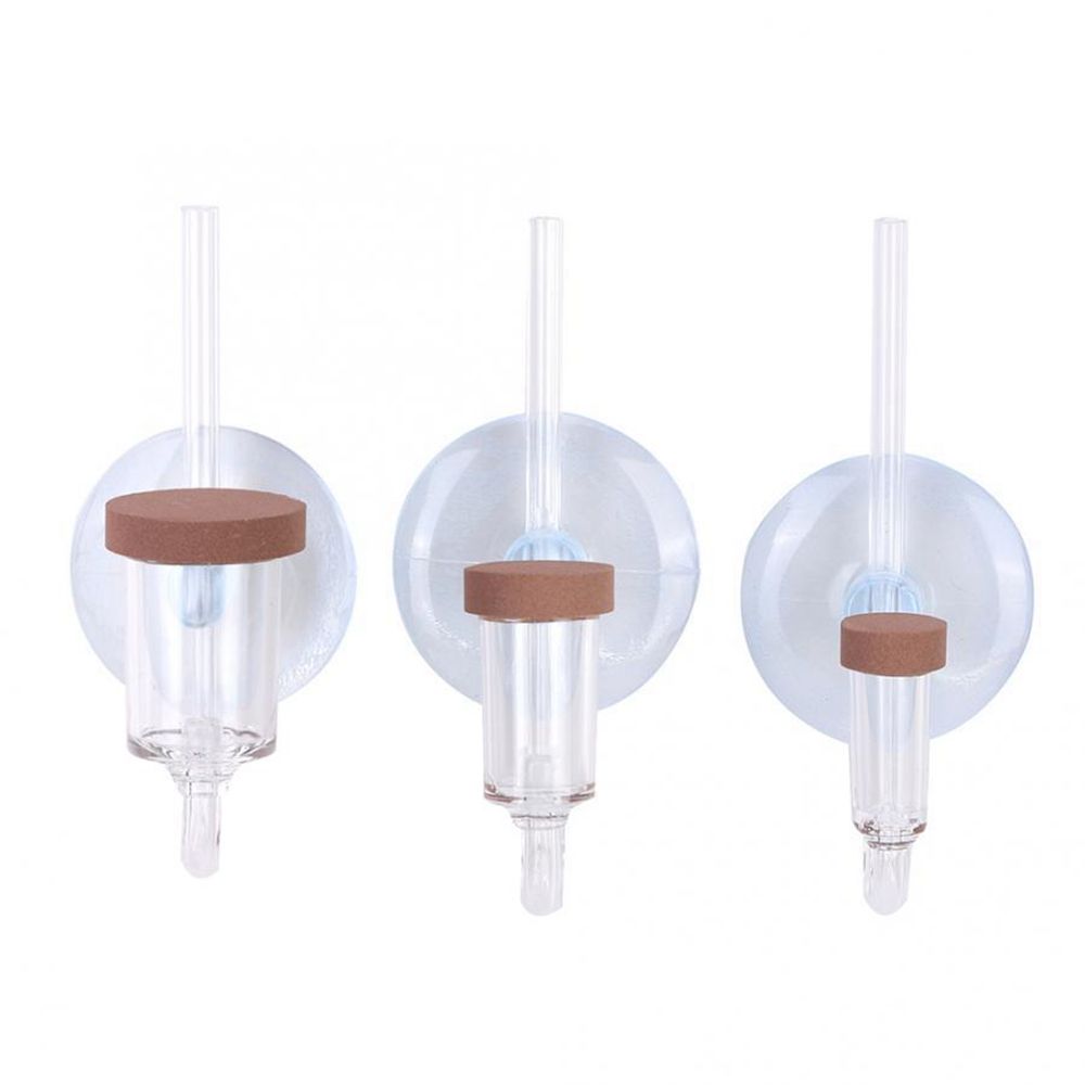 아크릴 미니 어항 생물 식물 U자형 분무기 CO2 정화 - Aquarium Planting Ideas 리뷰 및 가격