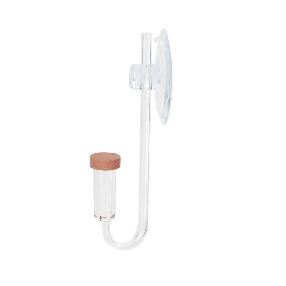 아크릴 미니 어항 생물 식물 U자형 분무기 CO2 정화 - Aquarium Planting Ideas 리뷰 및 가격