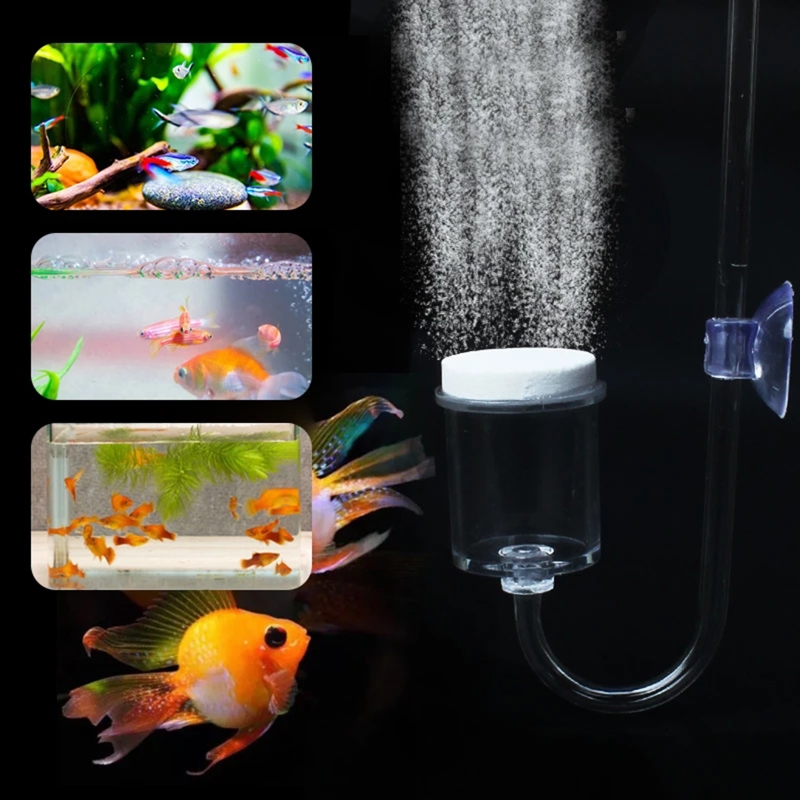 수족관 유리 탱크용 DIY CO2 디퓨저, 버블 반응기 - Planted Aquarium Co2 Kit 리뷰 및 가격